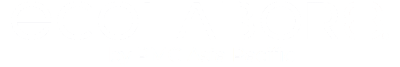 PMG Canvas Suite (VA Canvas v2.0) logo